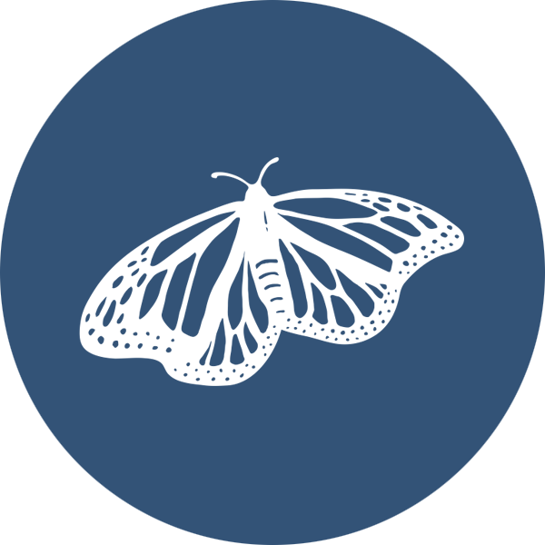 icons-6.png