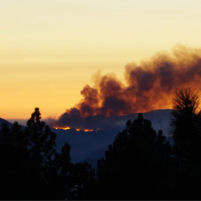news-wildfire.jpg