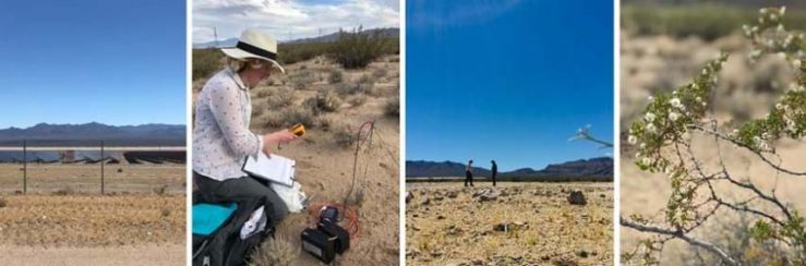L-R: Stateline Solar Park, Dr Alona Armstrong taking a soil surface measurement, Dr Alona Armstrong and Dr Rebecca R. Hernandez walking a soil surface transect, Creosote bush (Larrea tridentata), a dominant evergreen shrub found in the Ivanpah Valley, whe