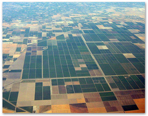 Boswell Agricultural