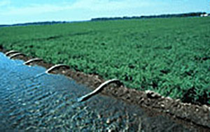 Irrigation