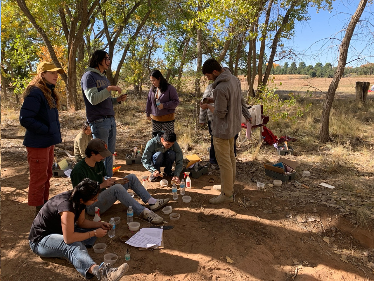 UCD team hard at work describing a soil’s physical characteristics from samples taken from a soil pit.