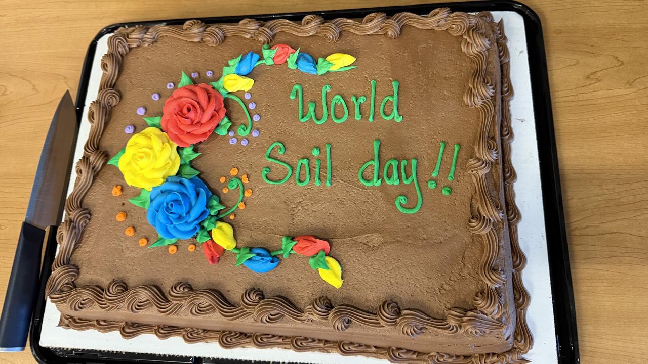 World Soil Day